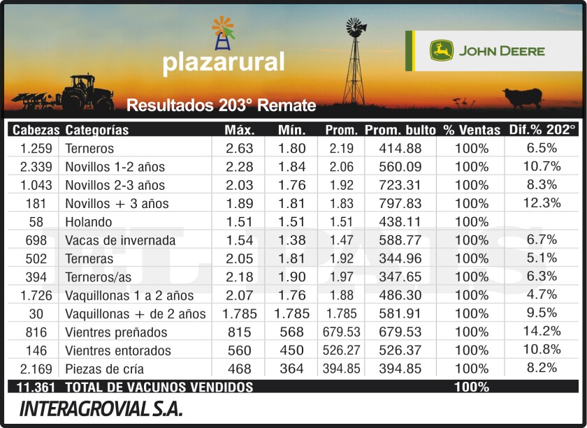 3x6 Plaza 203.cdr