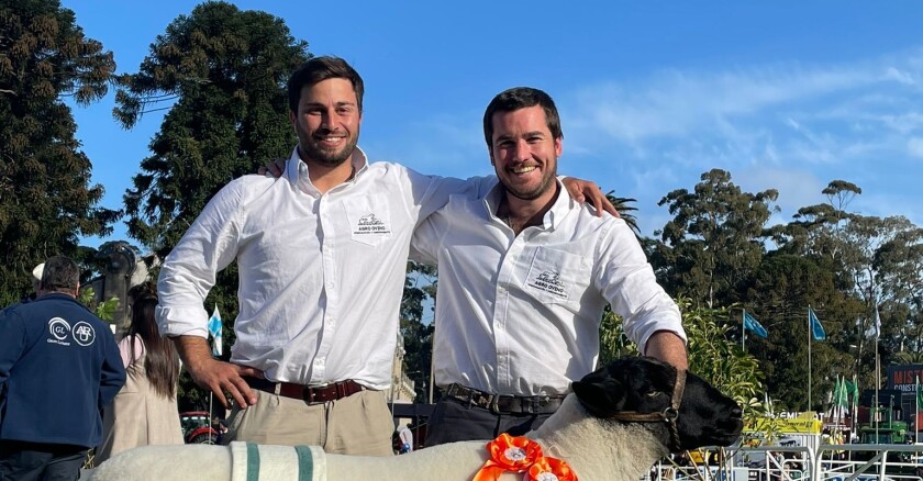 Panchi y Chanito, de 30 y 28 años, hacen lo que saben y lo que siempre hicieron: preparar animales