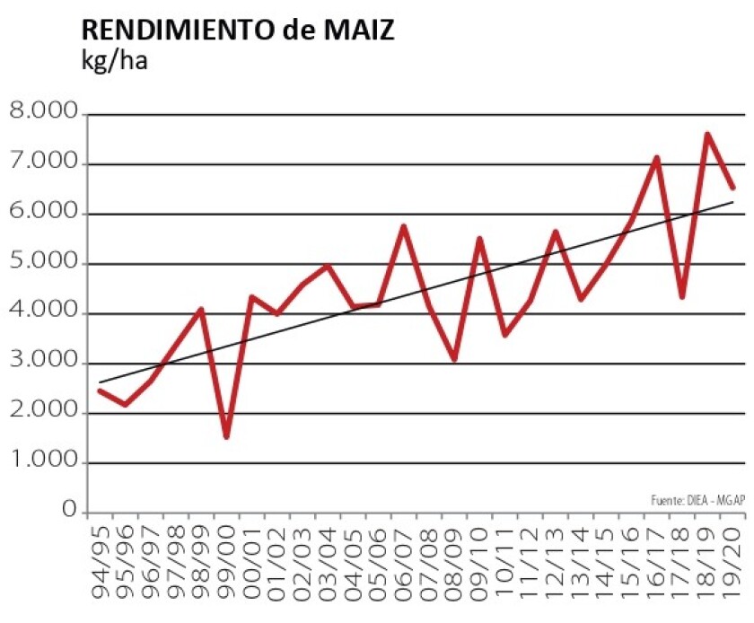 maiz.jpg