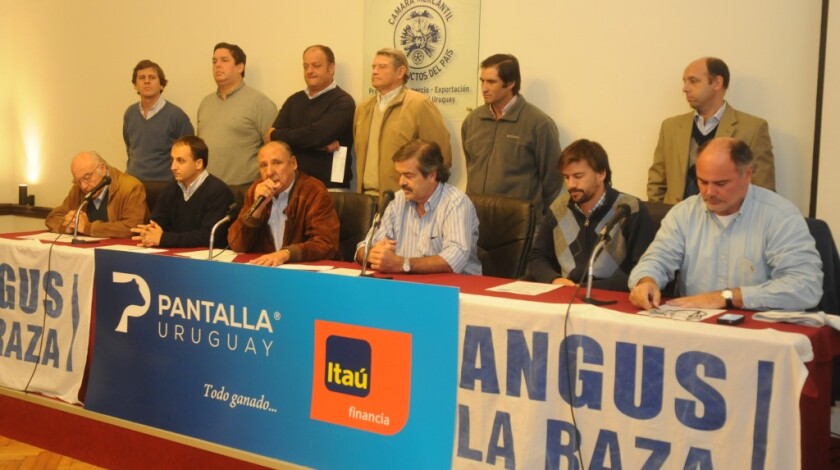 Remata Pantalla Uruguay, al contado, con asistencia de ITAÚ. Foto: Francisco Flores.
