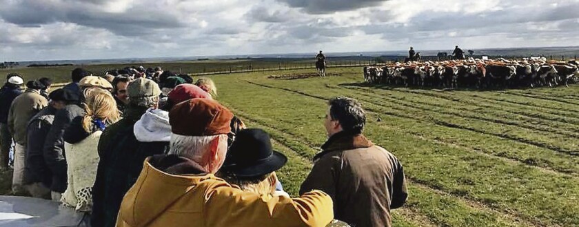 gira-hereford.jpg