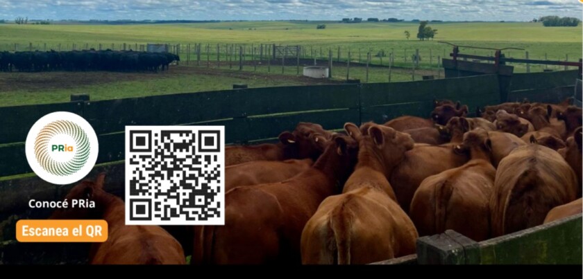 Previa Plaza marzo 25.jpg