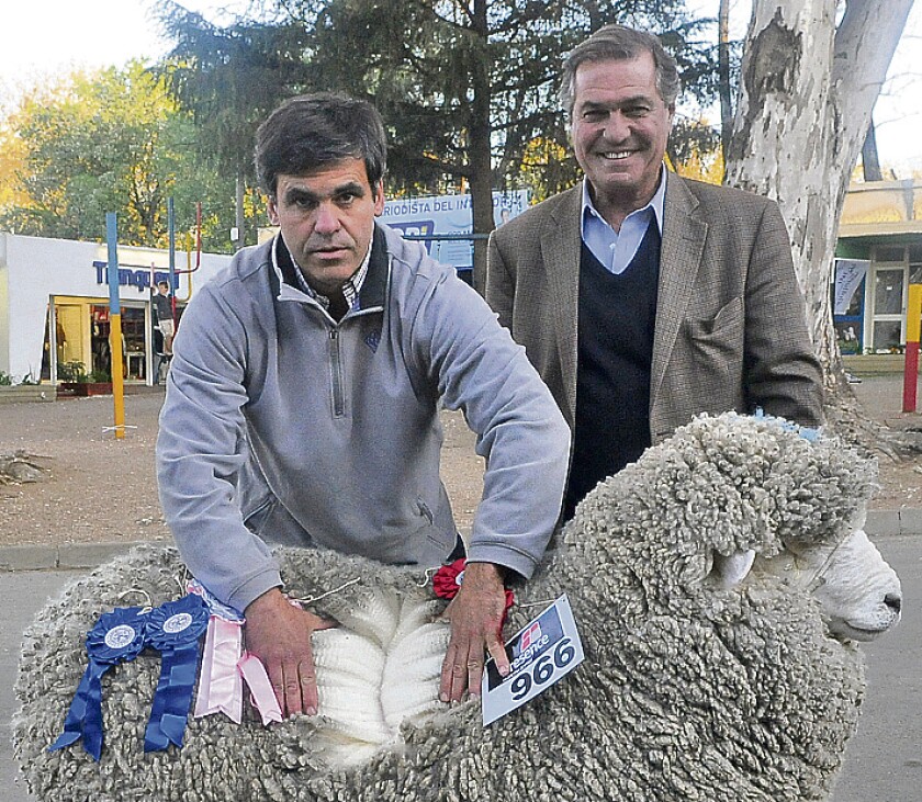 zambrano y santa luisa