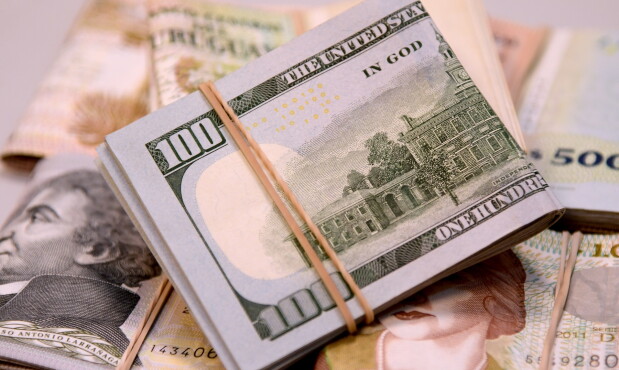 Dólar, dólares, pesos uruguayos, billetes