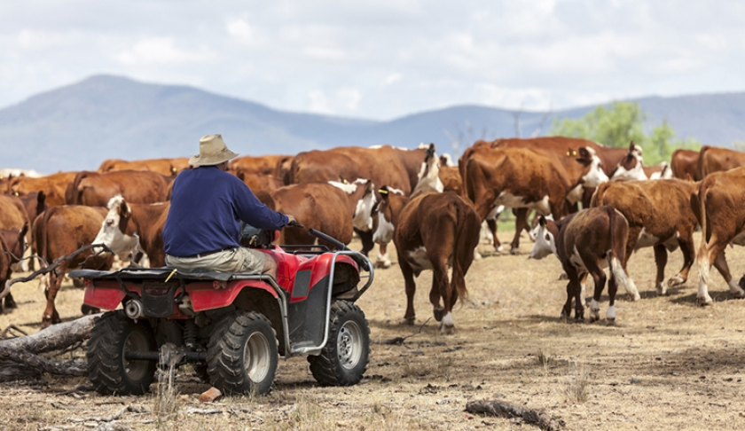 australia-ganaderia-ruralnet.png