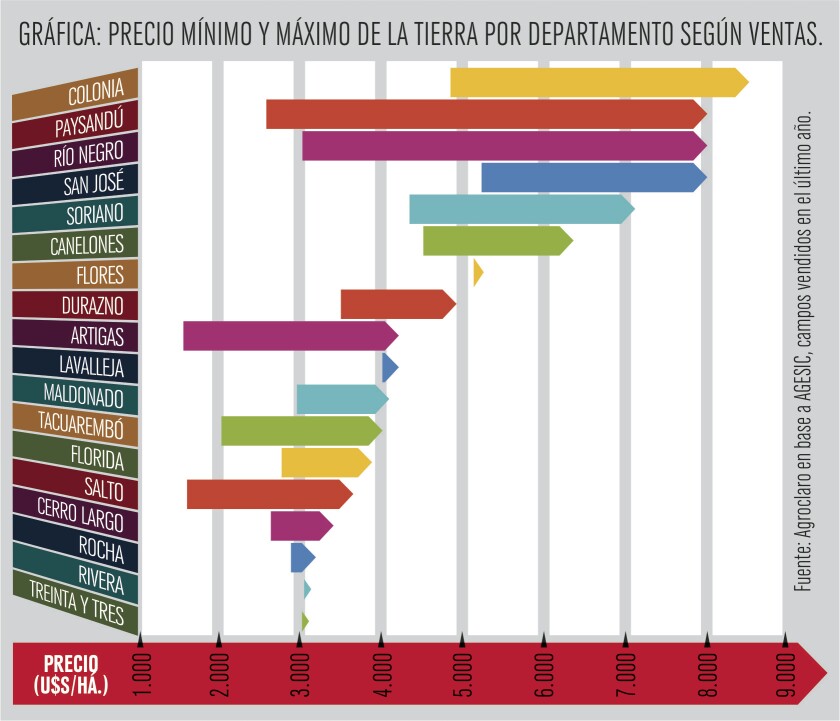 imagen-grafica-3x7-precio-campos.jpg