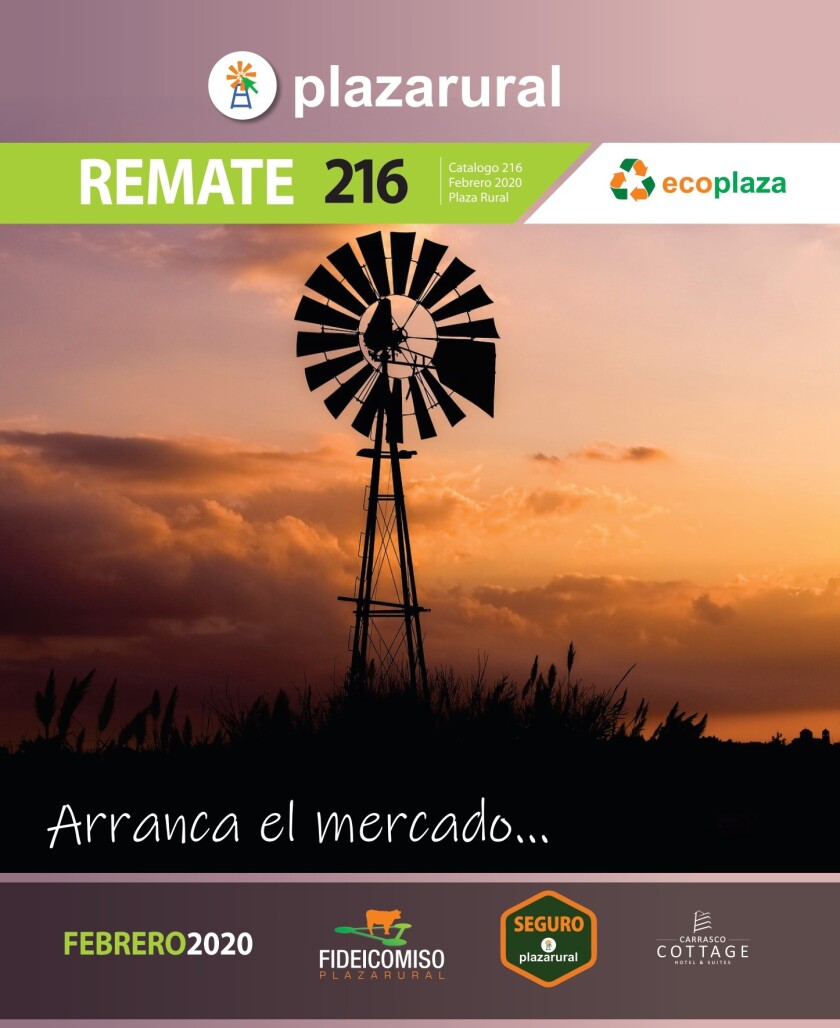 tapa-216.jpg