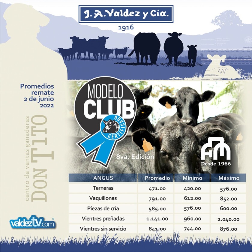 Modelo Club.jpeg