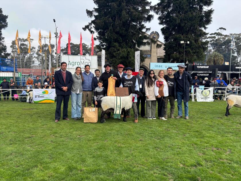 Gran Campeona Hembra PI Suffolk 2025.