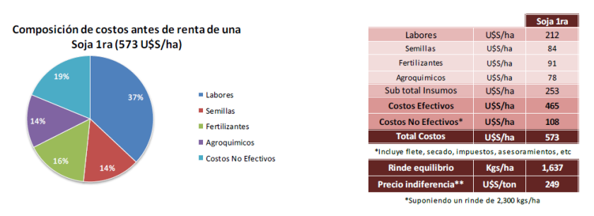 GRAFICO 1