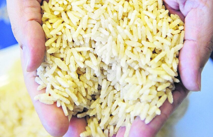 arrozz-1024x663.jpg
