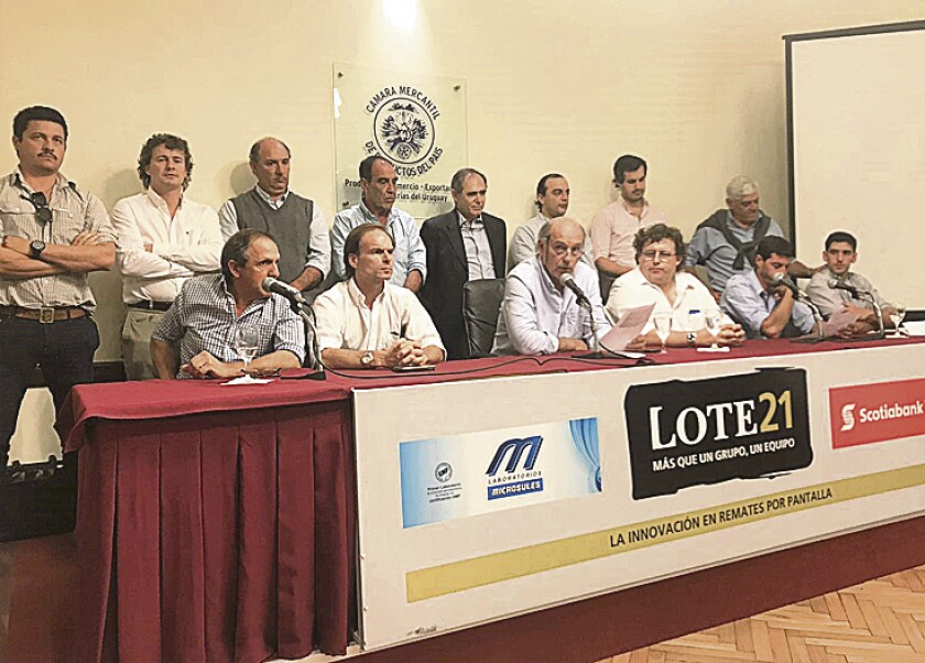 previa-lote-21.jpg