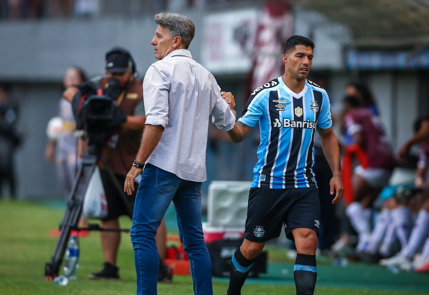 Lo que salió en la prensa es verdad", afirmó Renato Gaúcho mientras Suárez puede dejar Gremio por Inter Miami - EL PAÍS Uruguay