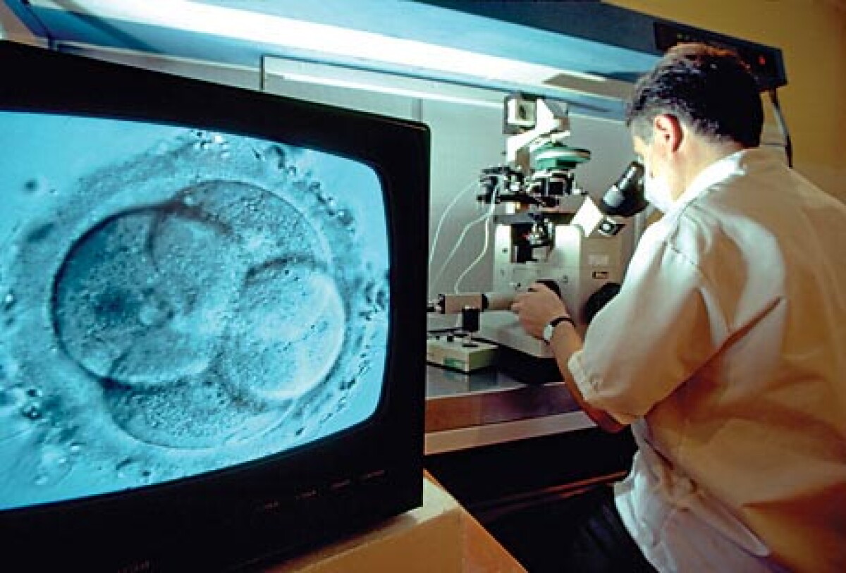 Fertilización in vitro.