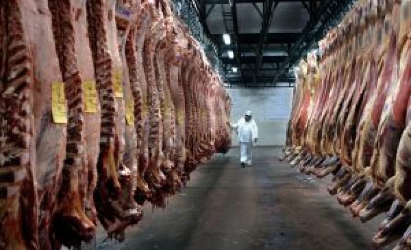 carnes-300x183.jpg