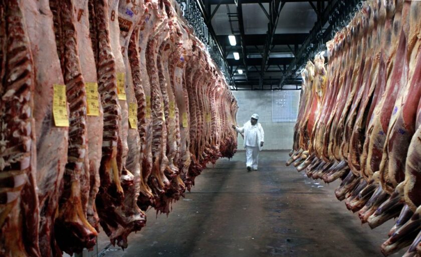 carnes-1024x624.jpg
