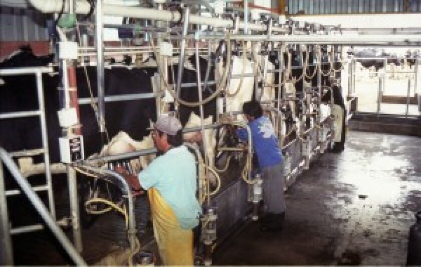 tambo-300x190.jpg