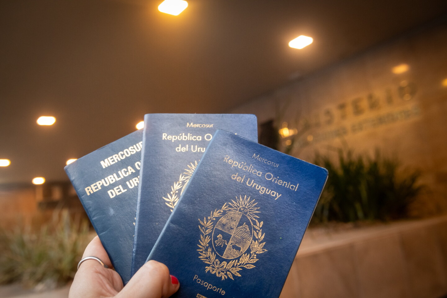 Pasaportes uruguayos