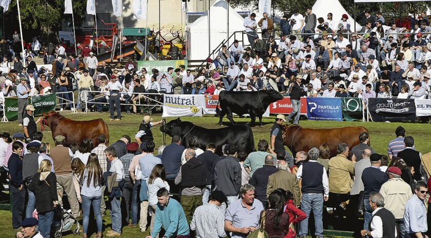 expo-prado.jpg