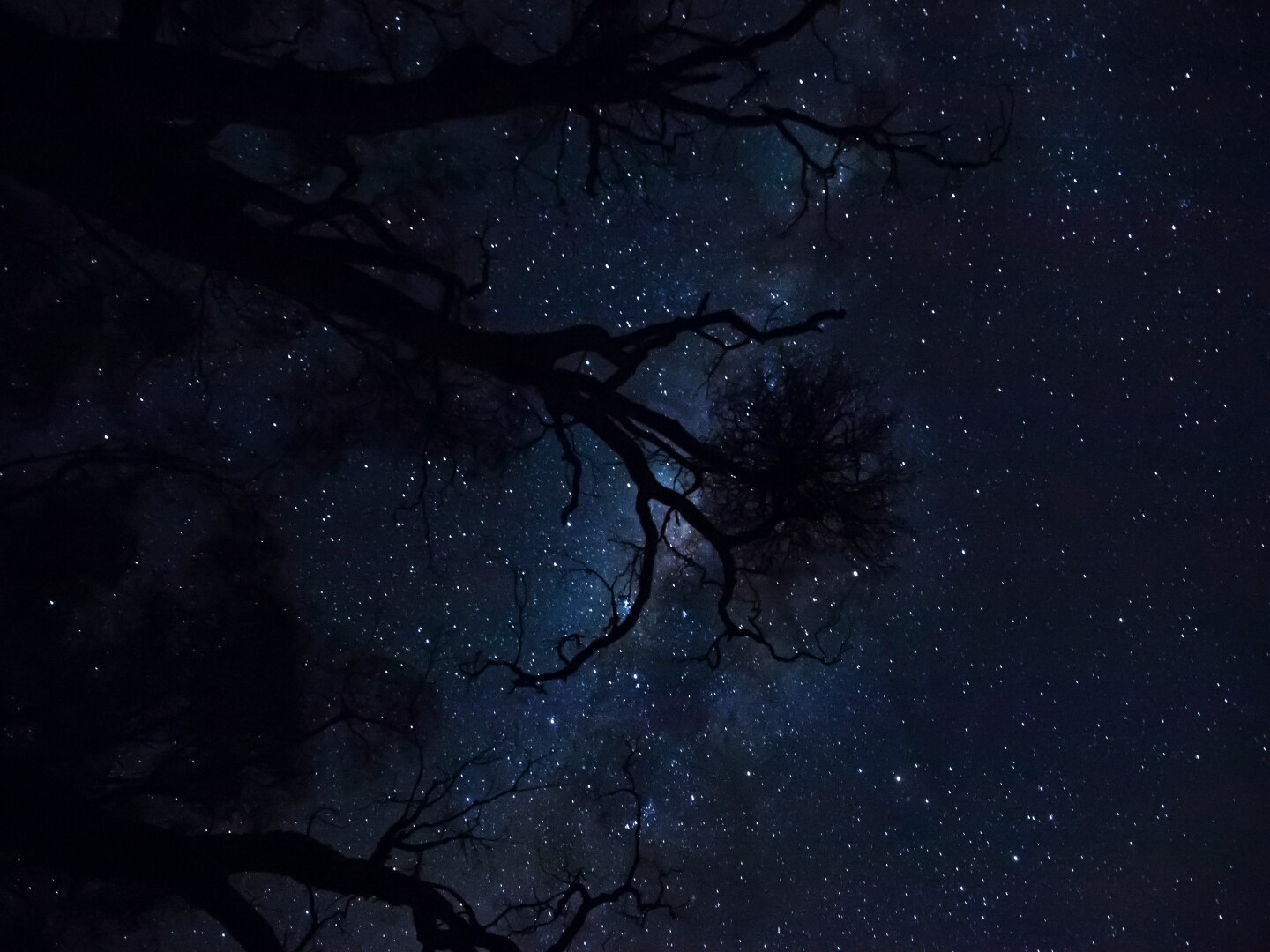 Planetas y estrellas en el cielo.