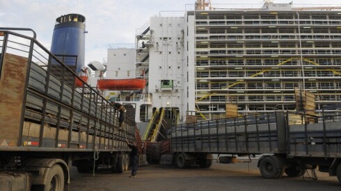 Exportación de ganado en pie