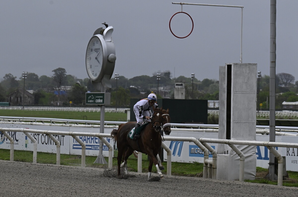 Triunfo de Namaste India en el handicap especial España disputado en Maroñas este domingo