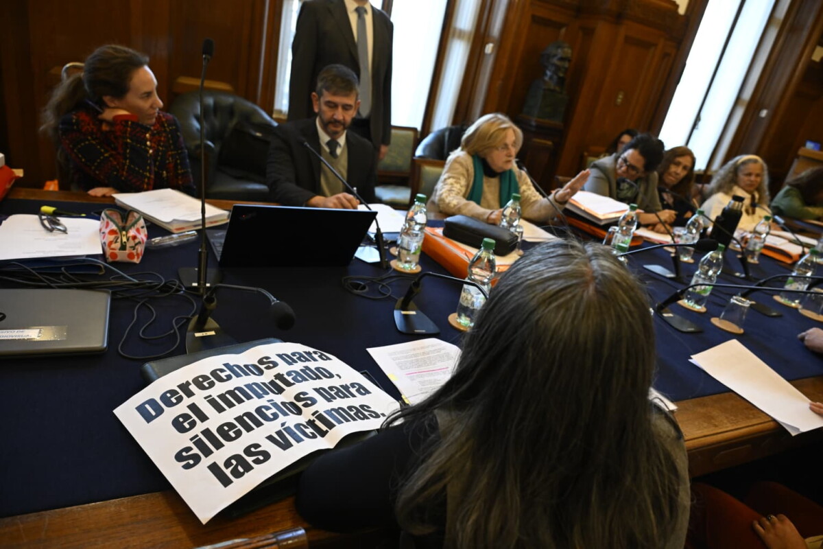 Representantes de asociaciones civiles en comisión del Senado.