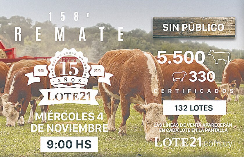 lote-21.jpg