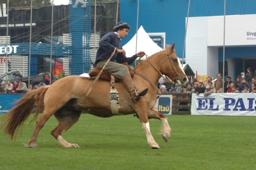 EXPO PRADO