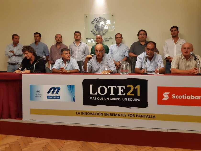 lote-21.jpg