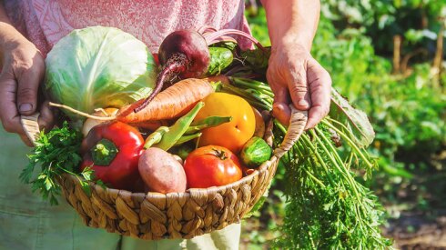vegetales, verduras