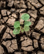 Sequía, calentamiento global