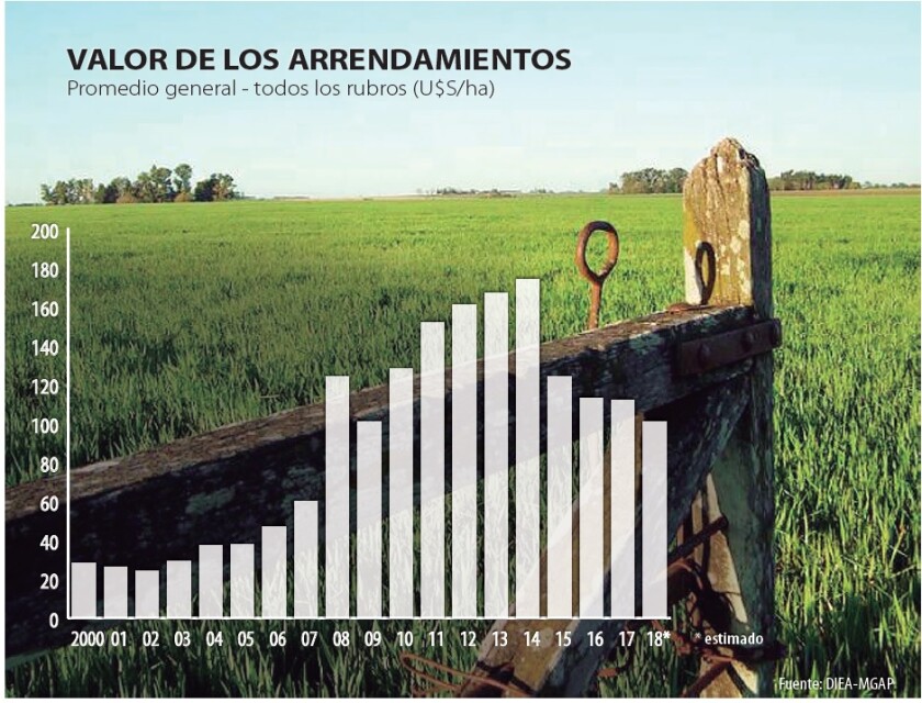 valor-de-los-arrendamientos-1.jpg