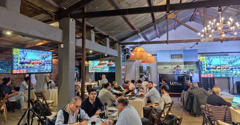 Remate Nº 205 de Lote 21