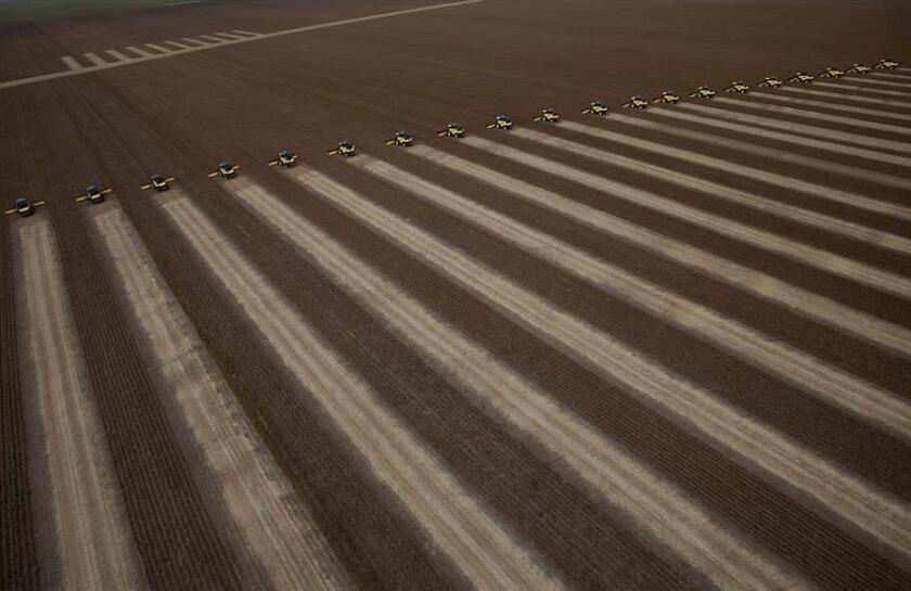 campos-de-soja-en-correntina-en-el-estado-brasileno-de-bahia-efeagro-sebastiao-moreira.jpg