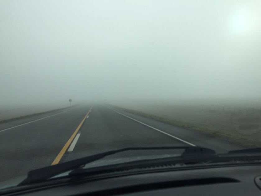 Niebla en Ruta 5. Foto: Rurales El - País.