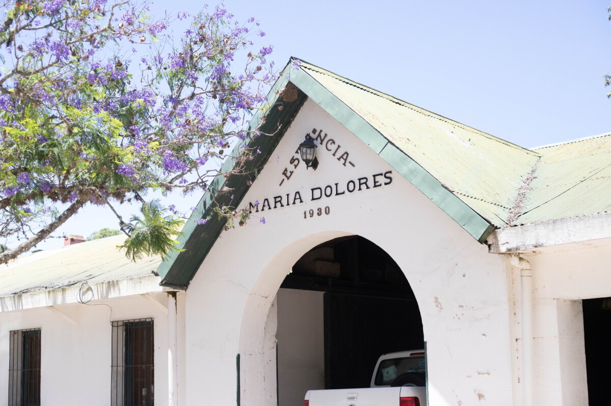 INC abrió llamado para seis tambos en María Dolores, y hay capacidad para que en total sean 16