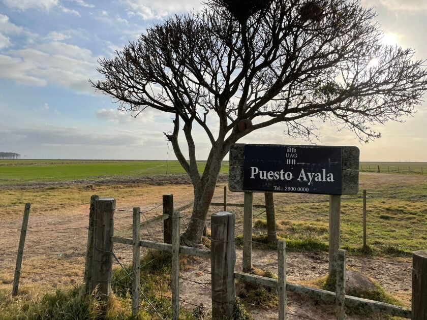 Puesto Ayala, establecimiento productivo de UAG.