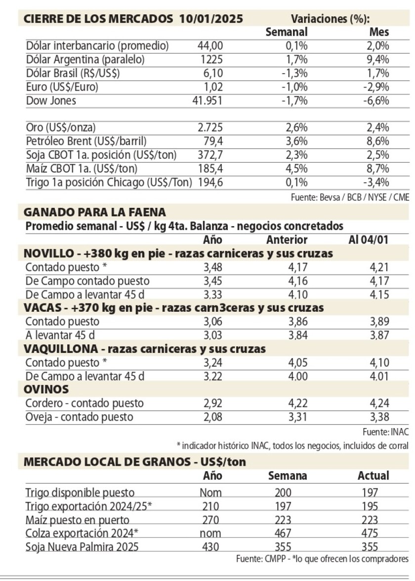 Cuadros NcL.jpg