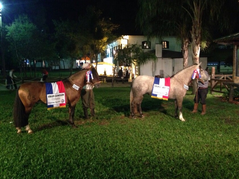 1de4543da7631de0459cba5fb82870d0