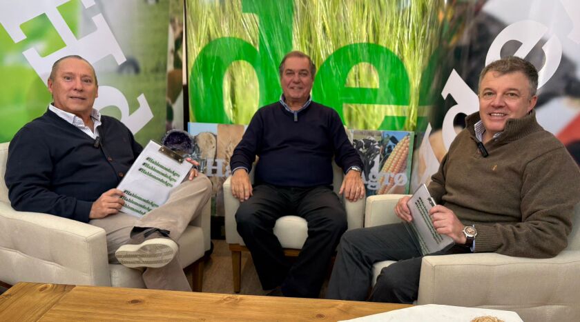 Gerardo Zambrano, presidente de Zambrano & Cía, en Hablemos de Agro, en Canal 10.