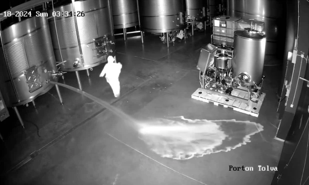 Delincuente ingresó a una bodega y derrochó más de 60 mil litros de vino