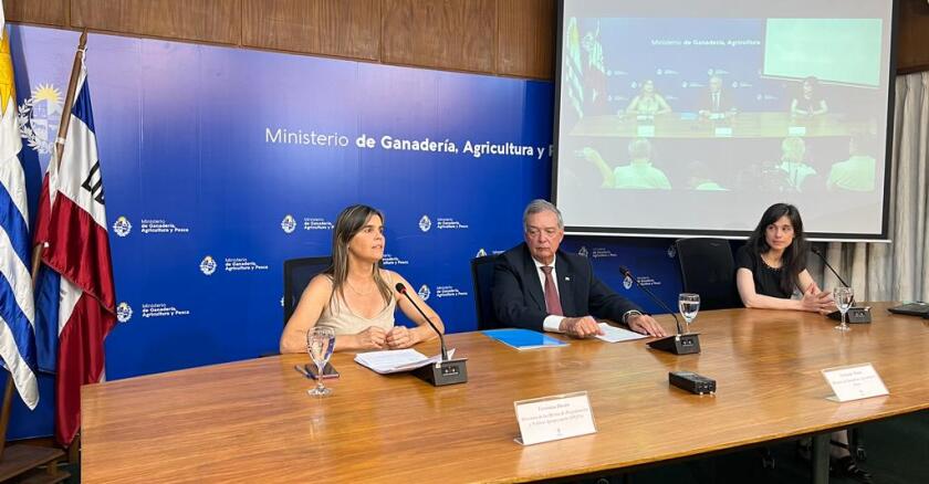 Verónica Durán, Fernando Mattos y Angela Cortelezzi.