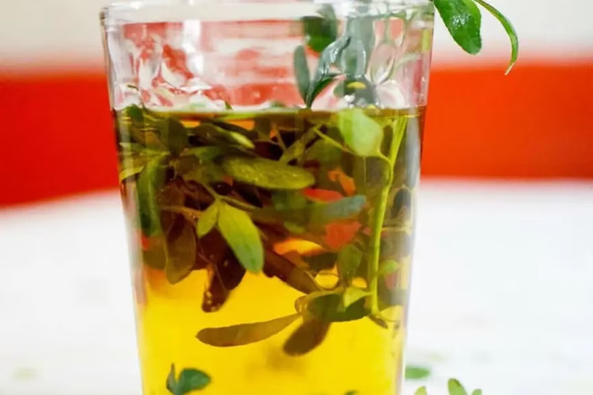 Un vaso de caña con ruda.