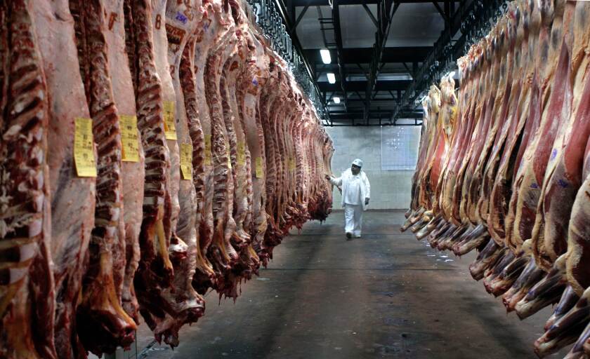CARNE