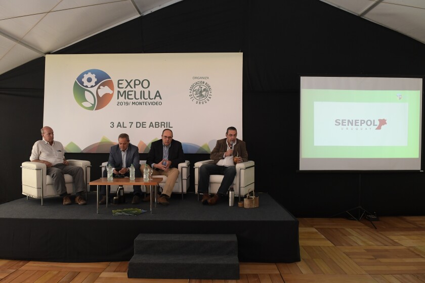 Expo Melilla 2019