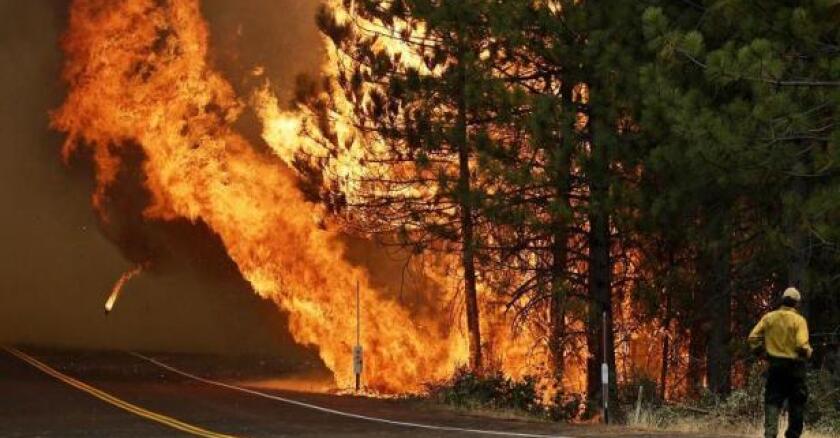 521b73d4b441f.r_1377546088028.0-481-800-971