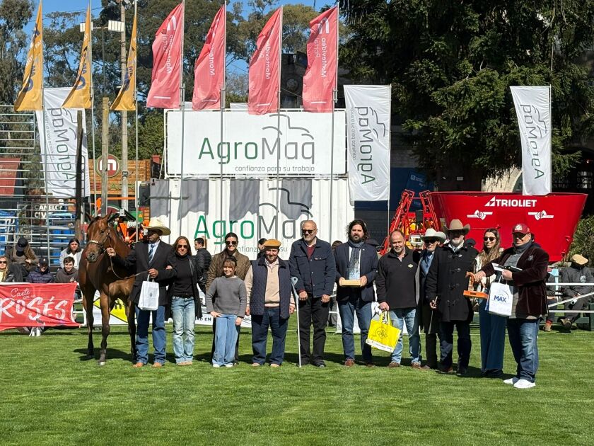 Gran Campeona Appaloosa Expo Prado 2025.