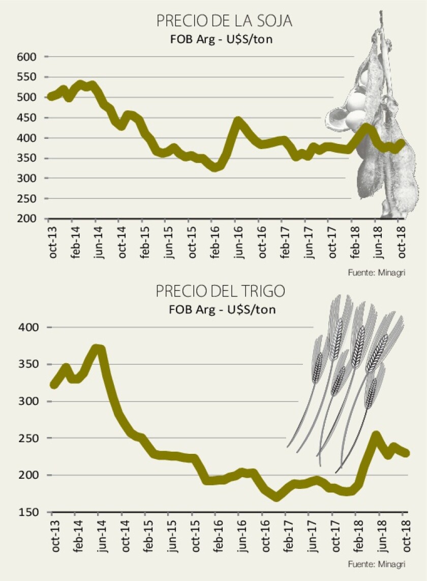 cuadros-lussich.jpg