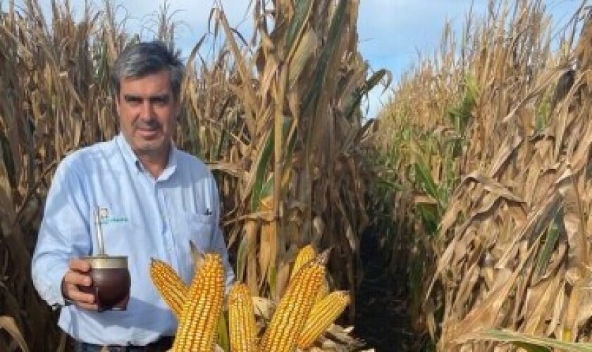 Alayón .jpeg
